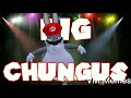 Mario turns into big chungus full version  smg4