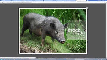 Bài số 22 Viết mã jQuery Phần xử lý hiệu ứng phóng to ảnh