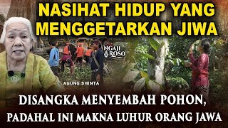 💥DISANGKA MENYEMBAH POHON, PADAHAL INI MAKNA LUHUR ORANG JAWA