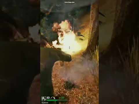 Vietnam Zombies Left 4 Dead 2 Napalm Death