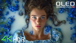 Realistic 4K HDR 60FPS Dolby Vision | Best TV Picture Quality Demo