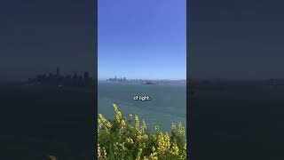 Humans of Save The Bay | Beacon of light