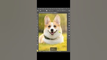 Smudge Tool || #shorts #photoshoptutorial