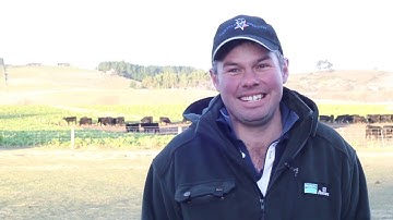 A profitable crop for cattle wintering