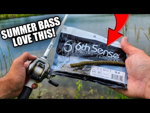Find Grass, Throw THIS Worm, & Catch Bass! (Summer Bank Fishing