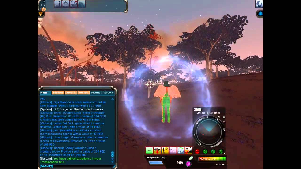 Level 13 amplifiers video #1