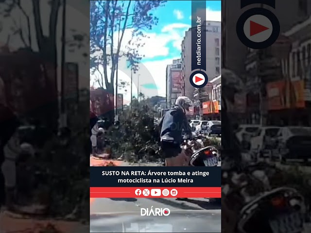 SUSTO NA RETA: Árvore tomba e atinge motociclista na Lúcio Meira