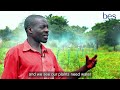 Kirasa farmers field school project