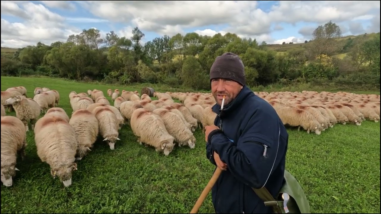 POVESTEA LUI CLAUDIU SOFRONI-DE LA DOGURI LA OI -O VIAȚA  ZBUCIUMATĂ 🇹🇩ȘI-A GĂSIT LINIȘTEA 