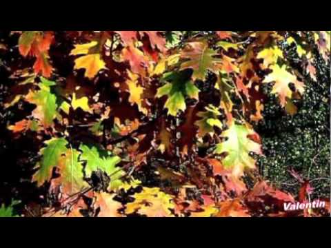 AUTUMN..... - YouTube