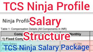 TCS Ninja Salary Package | TCS Salary Structure | Ninja Profile Salary in TCS | TCS Salary Slip