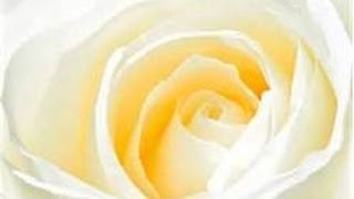 Song Beautiful Being (Lord Running Clam Mix)  Artist Eastern Sun