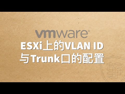 在VMware ESXi上的VLAN ID与Trunk口的配置