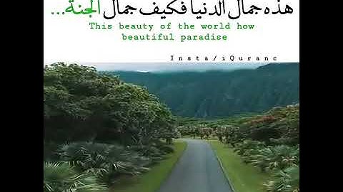 القارئ أحمد النفيس🌾🍂