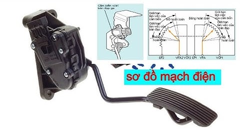 Cảm biến bàn đạp ga loại tuyến tính #2