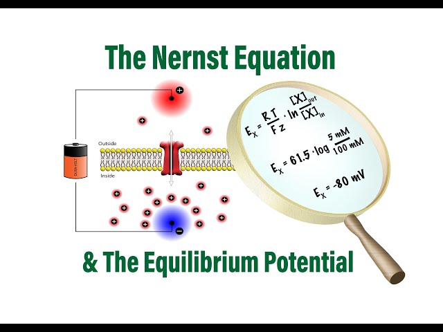 Nernst Equation Practice Problems - Chemistry Steps