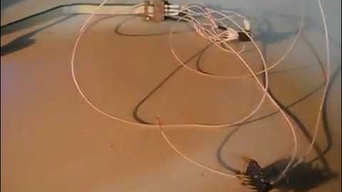 восстановление фьюзов ATMEGA8