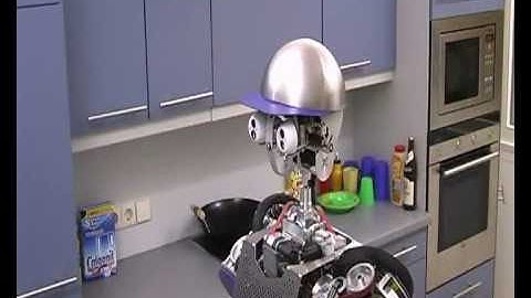 Humanoid Robot  ARMAR-IIIa: Vision