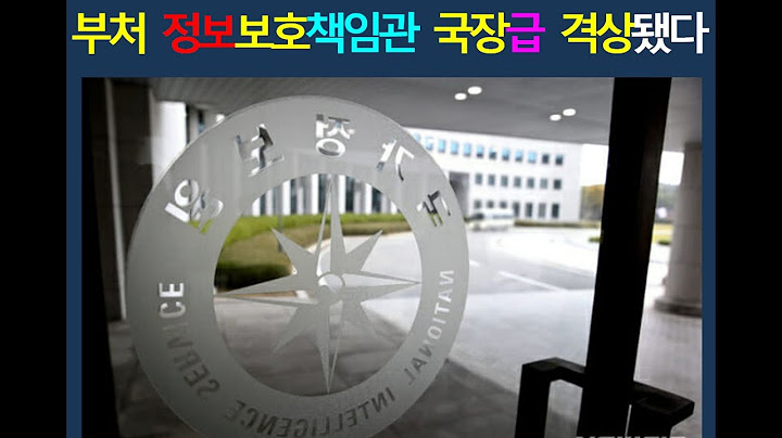국장급 정보관 [공직자 직제 통역 설명]
