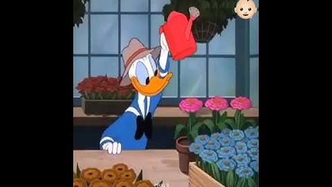 Classic Cartoons|Donal Duck Honey Harvester 1949| Children cartoons