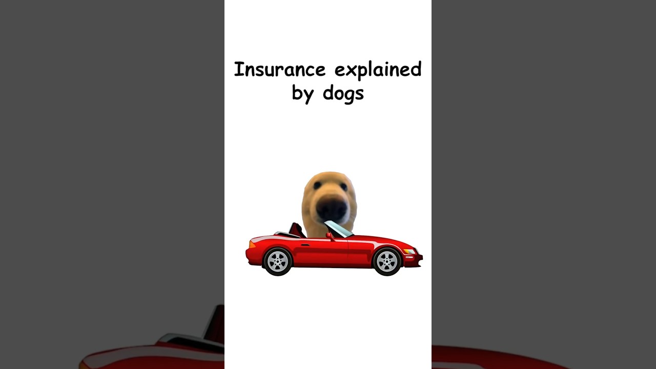 Insurance explained by dogs!!