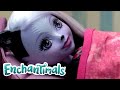 Enchantimals Россия 💜 Оставайтесь в постели Sage! 💜Стоп-кадр для детей 💜 Компиляция | 0+