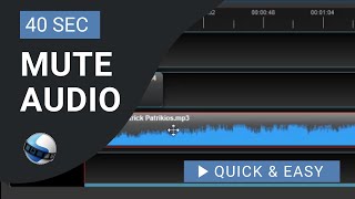 OpenShot Video Editor Tutorial: How to Mute Audio in OpenShot