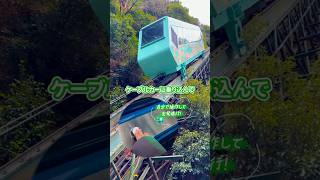 ケーブルカーでいく日本三大秘境の露天風呂が最高すぎ♨ #祖谷温泉 #ホテル祖谷温泉 #徳島