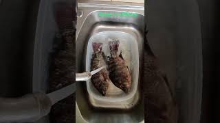 Tilapia Fish seafood Satisfying food viral shorts
