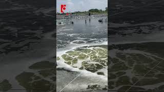 Sục khí oxyjet - công suất 2.2kw bổ sung oxy liên tục, đẩy xa từ 9m. Liên hệ 0899.199.700 #oxyjet