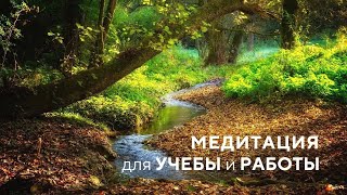 Медитация Для Успешной Учебы И Работы | Медитация Для Учеников, Студентов, Работы На Проектами