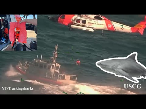Rescue of 3 Shark Attacked Shipwrecked Sailors 2022 Gulf of Mexico