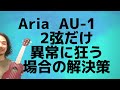 Aria AU-1の２弦だけ異常に狂う場合の解決策