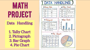 Data Handling Math Project| Class - 8 Math Project for School | Activity - 8