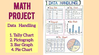 Data Handling Math Project| Class - 8 Math Project for School | Activity - 8