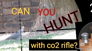 Can you hunt with a co2 rifle? Is it even possible