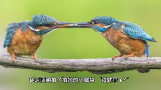 {逃荒不慌，全家大佬種田忙}495~512章 有聲字幕小說