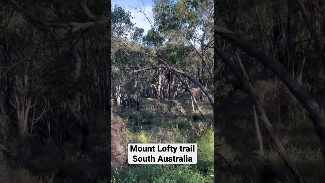 Mount Lofty trail | South Australia