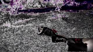 PARODI OPENING NARUTO : FLOW - SIGN