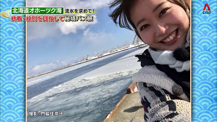 Japan Hour: It's Lunchtime