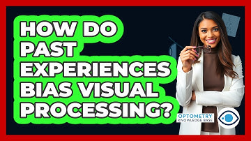 How Do Past Experiences Bias Visual Processing?
