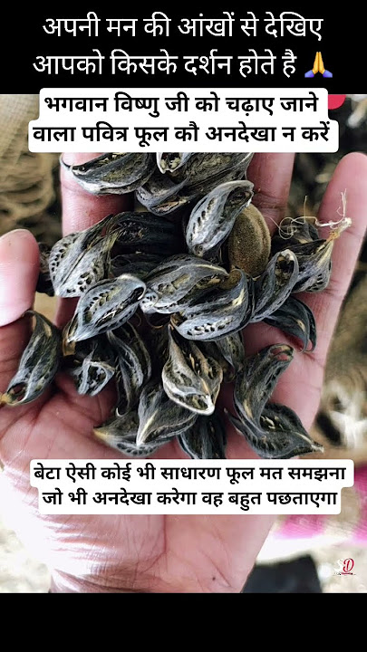 विष्णु भगवान का पवित्र फूल को अनदेखा न करें #vishnu #vishnupurana #vishnumantra