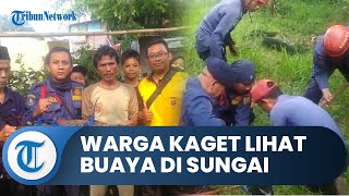 Warga Kaget Saat Melihat Ke Luar Jendela, Ternyata Seekor Buaya Di Belakang Rumahnya