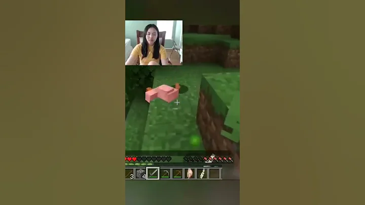 Press 'Alt f4' #minecraft #shorts