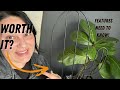 Quality of these plant trellis?+sizing+how to use!