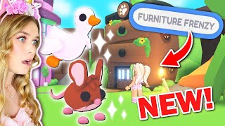 New Adopt Me Update New Mini Game And Pets Roblox