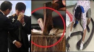 Thấy rắn hổ mang bò vào nhà, tức chí cầm rìu chặt đứt đầu, 1 tuần sau cả nhà đau đớn nhận cái kết!