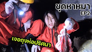 ขุดหาหมาติดใต้บ้าน EP2 เสียงดังขึ้น ร้องทั้งคืน!