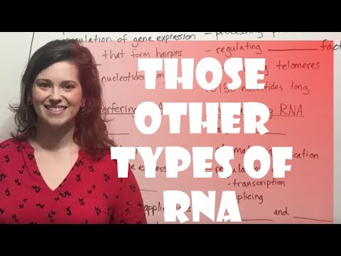 Video: Retrotransposonien Evoluutio Ja Vaikutus Sikojen LncRNA: Ta Ja Proteiineja Koodaaviin Geeneihin