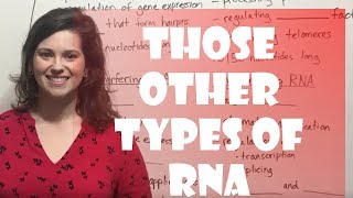 Regulatory RNA's: miRNA, siRNA, snRNA, lncRNA